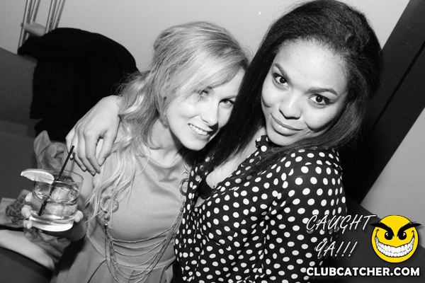 Thompson Hotel party venue photo 101 - April 27th, 2013