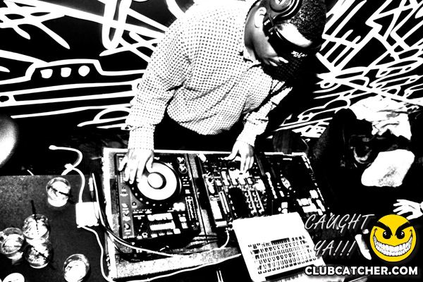 Thompson Hotel party venue photo 107 - April 27th, 2013