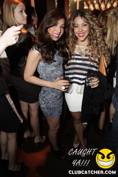 Thompson Hotel party venue photo 108 - April 27th, 2013