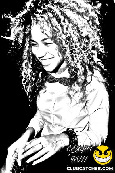 Thompson Hotel party venue photo 112 - April 27th, 2013