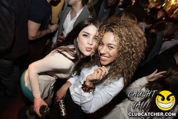 Thompson Hotel party venue photo 115 - April 27th, 2013