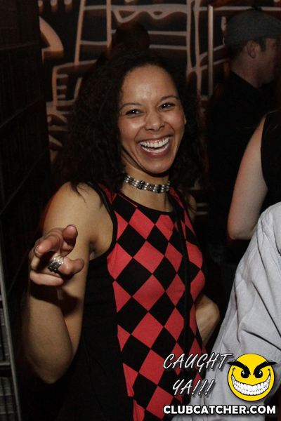 Thompson Hotel party venue photo 125 - April 27th, 2013