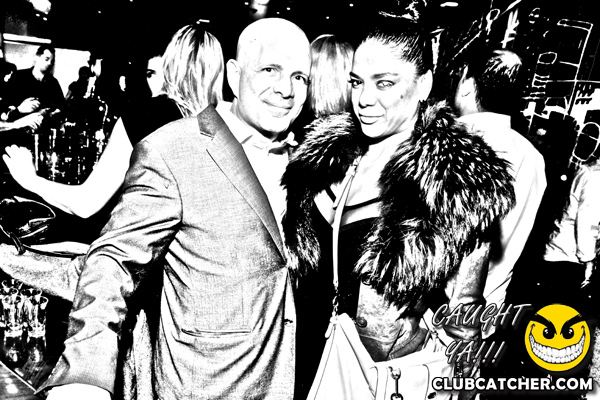 Thompson Hotel party venue photo 127 - April 27th, 2013