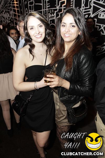 Thompson Hotel party venue photo 137 - April 27th, 2013