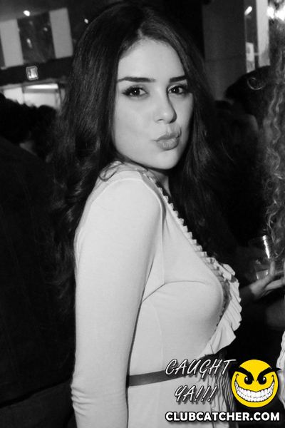 Thompson Hotel party venue photo 142 - April 27th, 2013