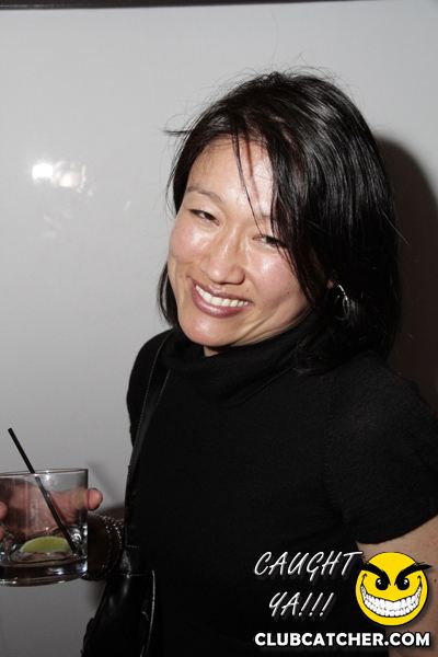 Thompson Hotel party venue photo 214 - April 27th, 2013