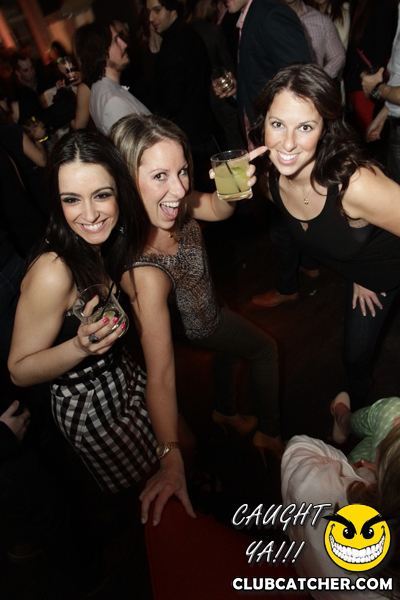 Thompson Hotel party venue photo 231 - April 27th, 2013