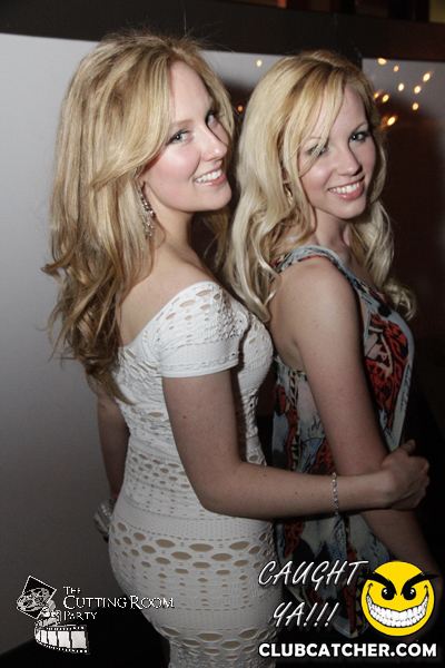 Thompson Hotel party venue photo 34 - April 27th, 2013