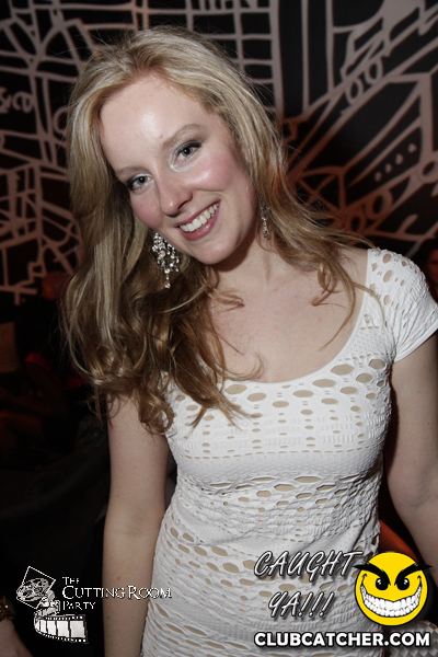 Thompson Hotel party venue photo 38 - April 27th, 2013