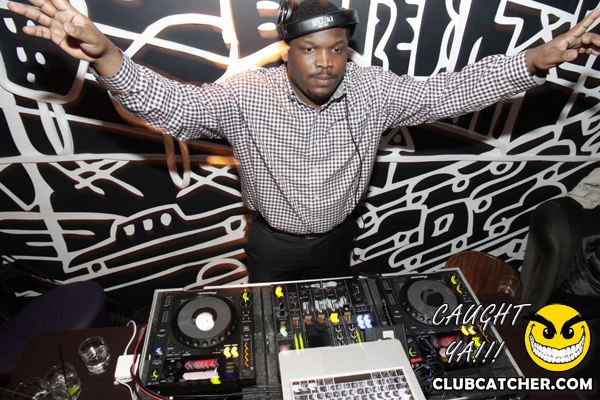 Thompson Hotel party venue photo 79 - April 27th, 2013