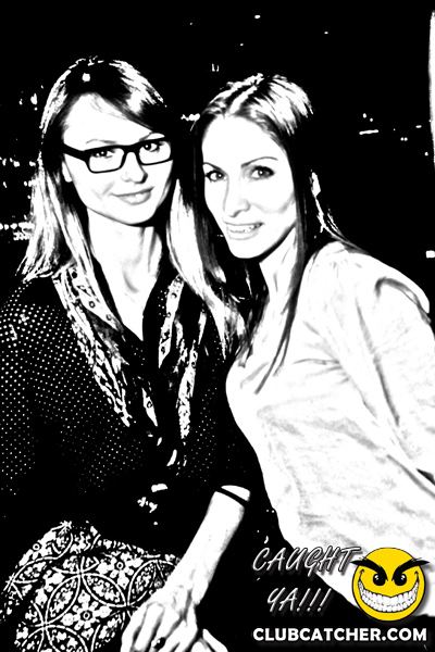 Thompson Hotel party venue photo 82 - April 27th, 2013