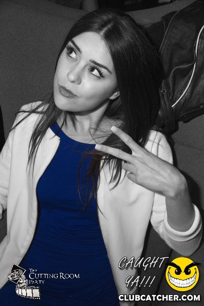 Thompson Hotel party venue photo 51 - May 4th, 2013