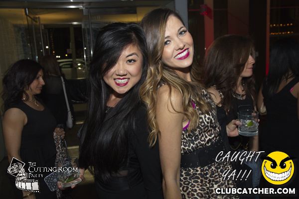 Thompson Hotel party venue photo 61 - May 4th, 2013