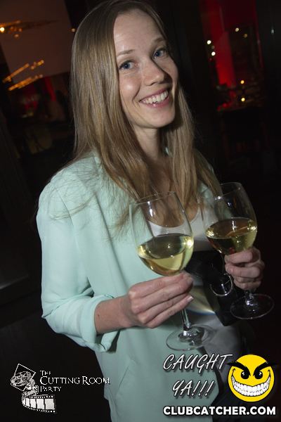 Thompson Hotel party venue photo 65 - May 4th, 2013