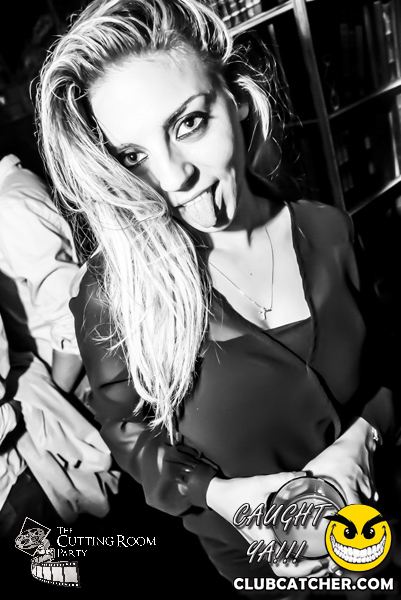 Thompson Hotel party venue photo 101 - July 27th, 2013