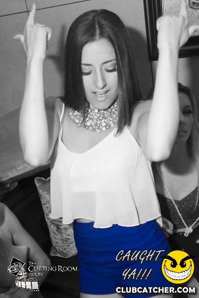 Thompson Hotel party venue photo 117 - July 27th, 2013