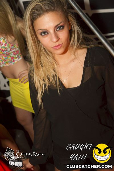 Thompson Hotel party venue photo 16 - July 27th, 2013