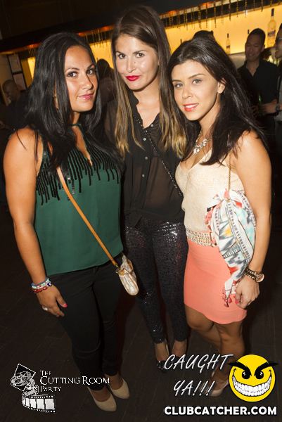 Thompson Hotel party venue photo 177 - July 27th, 2013