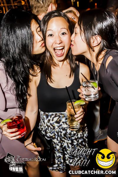 Thompson Hotel party venue photo 21 - July 27th, 2013