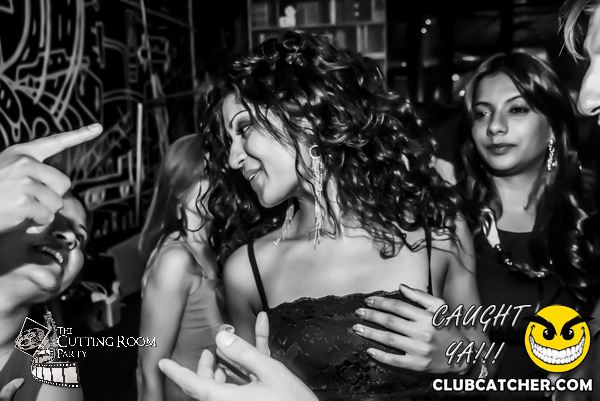 Thompson Hotel party venue photo 220 - July 27th, 2013