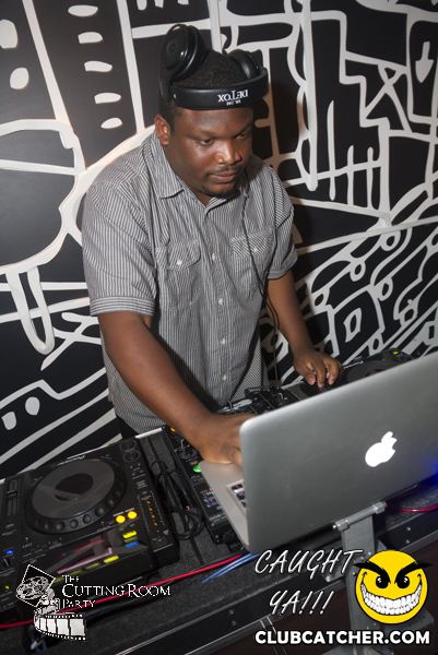 Thompson Hotel party venue photo 23 - July 27th, 2013