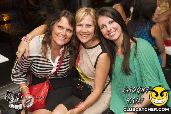 Thompson Hotel party venue photo 233 - July 27th, 2013