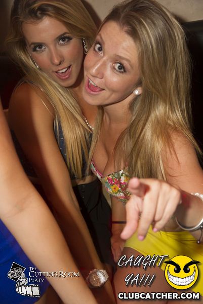 Thompson Hotel party venue photo 234 - July 27th, 2013