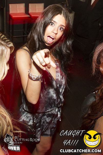 Thompson Hotel party venue photo 262 - July 27th, 2013