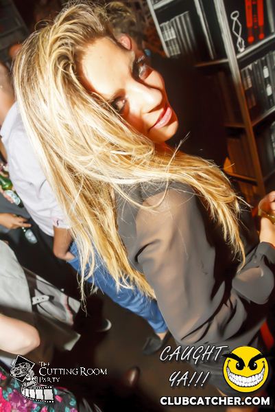 Thompson Hotel party venue photo 263 - July 27th, 2013