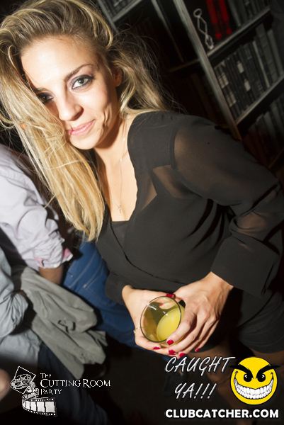 Thompson Hotel party venue photo 267 - July 27th, 2013