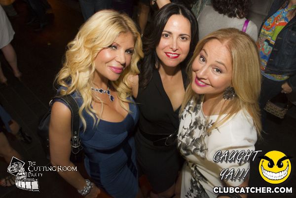 Thompson Hotel party venue photo 5 - July 27th, 2013