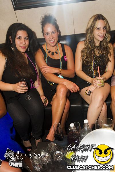 Thompson Hotel party venue photo 74 - July 27th, 2013