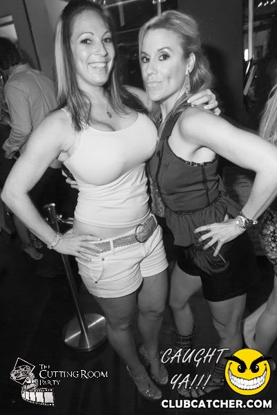 Thompson Hotel party venue photo 76 - July 27th, 2013