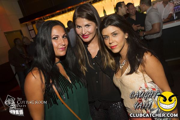 Thompson Hotel party venue photo 81 - July 27th, 2013