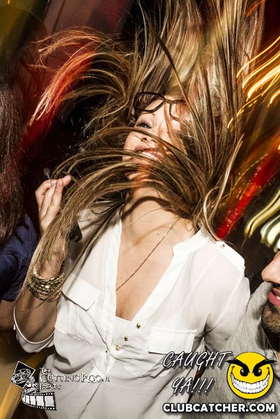 Thompson Hotel party venue photo 10 - July 27th, 2013