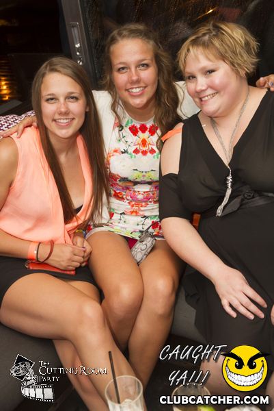 Thompson Hotel party venue photo 91 - July 27th, 2013