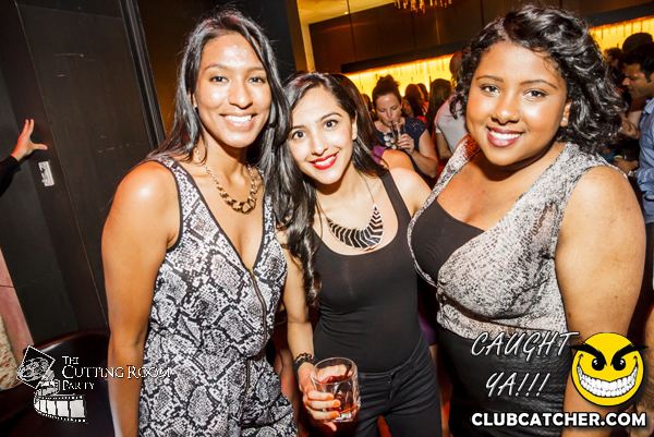 Thompson Hotel party venue photo 125 - August 24th, 2013