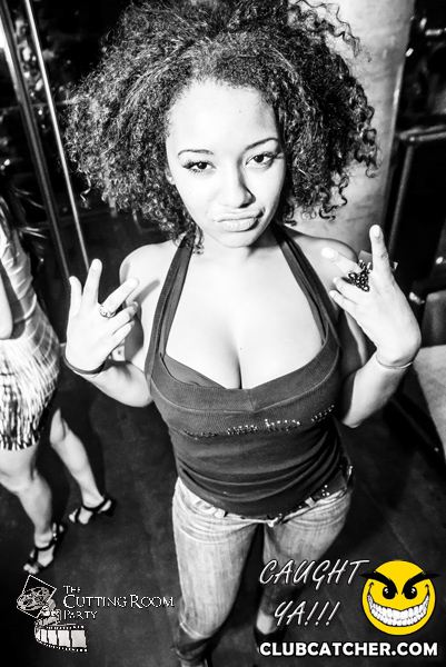 Thompson Hotel party venue photo 153 - August 24th, 2013