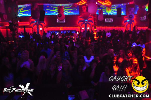 Luxy nightclub photo 253 - December 6th, 2013