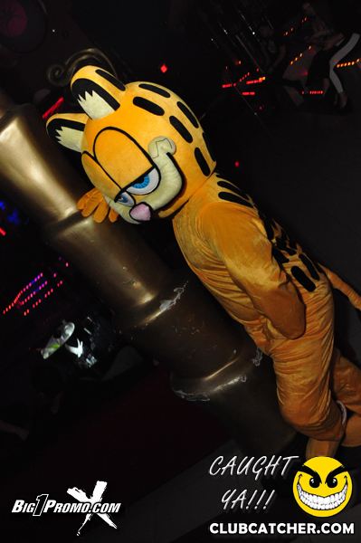 Luxy nightclub photo 62 - December 7th, 2013