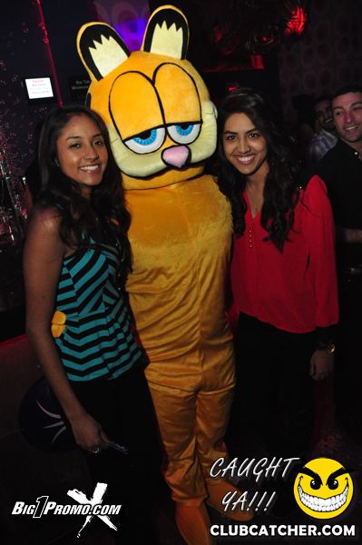 Luxy nightclub photo 100 - December 7th, 2013