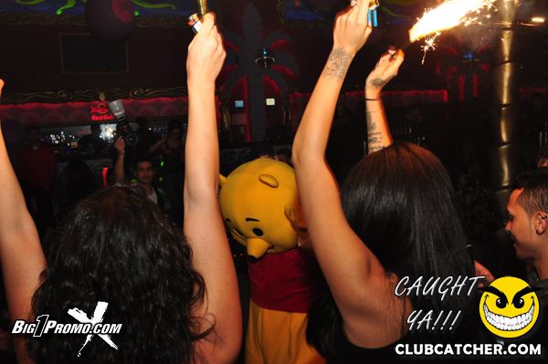 Luxy nightclub photo 135 - December 14th, 2013