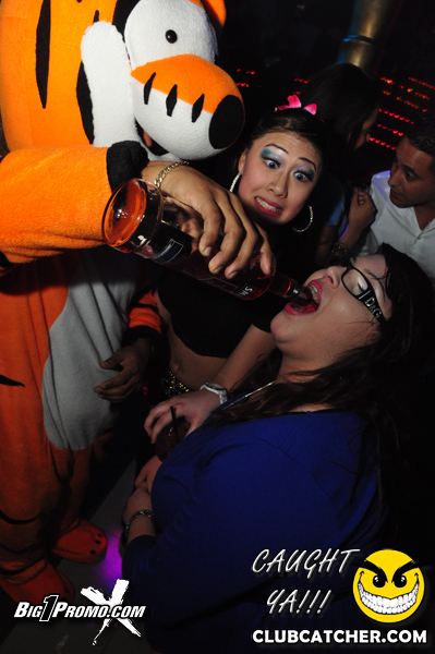 Luxy nightclub photo 218 - December 14th, 2013