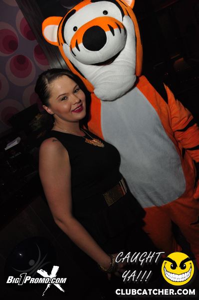 Luxy nightclub photo 226 - December 14th, 2013