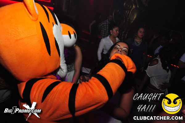 Luxy nightclub photo 238 - December 14th, 2013