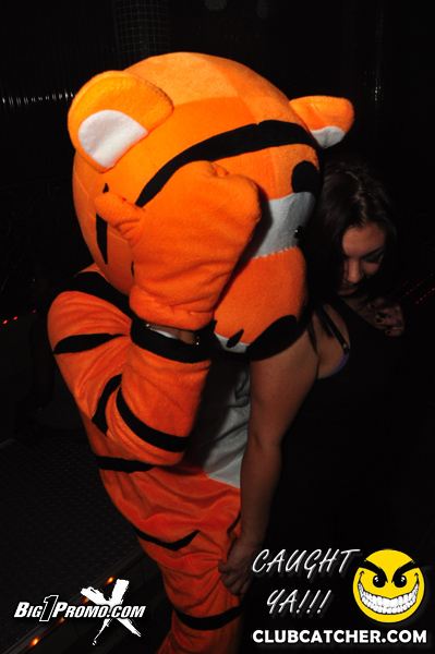 Luxy nightclub photo 260 - December 14th, 2013