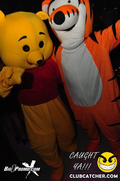 Luxy nightclub photo 32 - December 14th, 2013