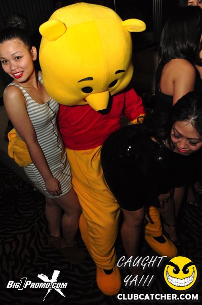 Luxy nightclub photo 17 - December 27th, 2013