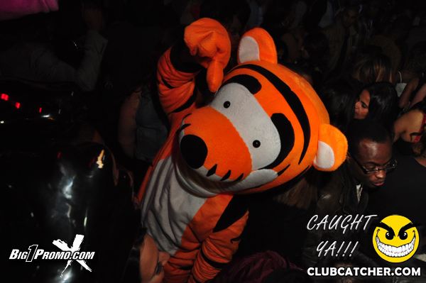 Luxy nightclub photo 3 - December 27th, 2013