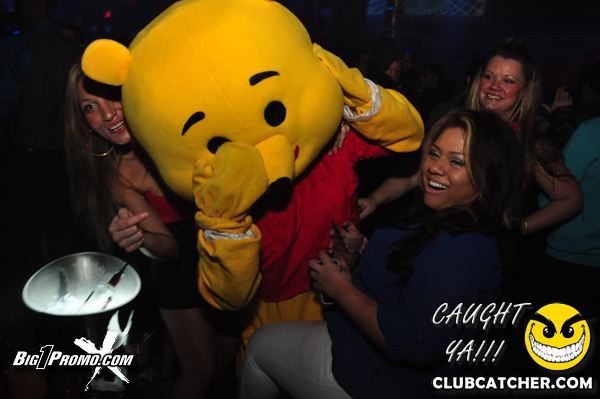 Luxy nightclub photo 9 - December 28th, 2013